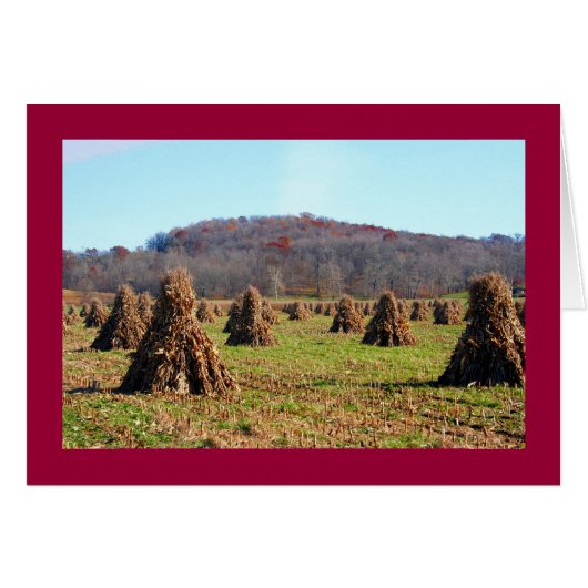Amish Fields Cards (Front Horizontal)