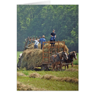 Amish hay harvest cards