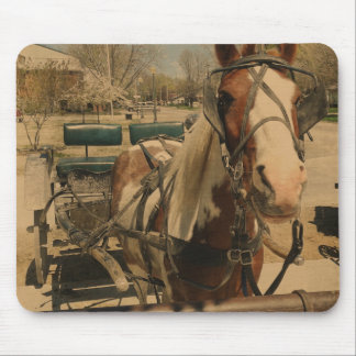 Amish Horse, A Pinto Mouse Pad