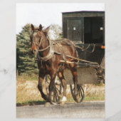 Amish Horse and Buggy (Front)