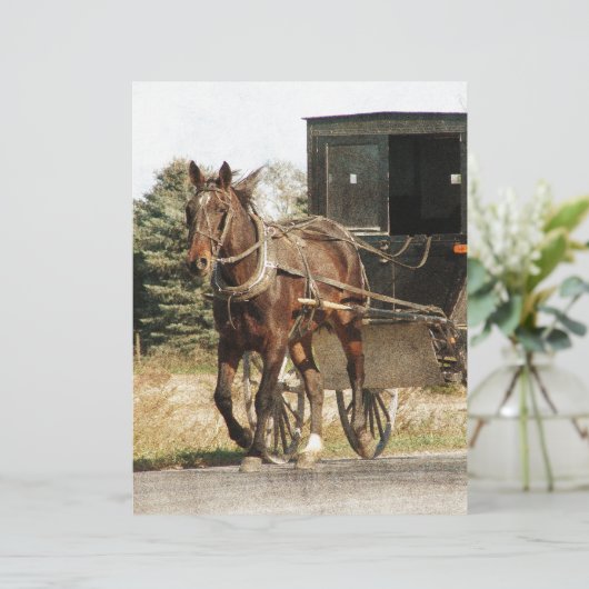 Amish Horse and Buggy (Standing Front)