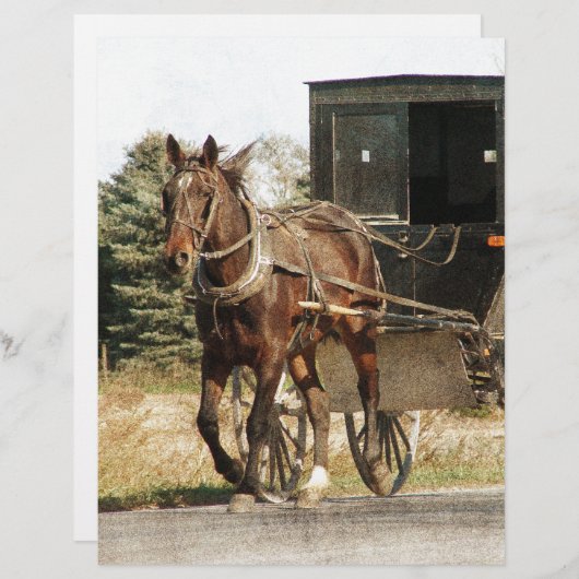 Amish Horse and Buggy (Front/Back)