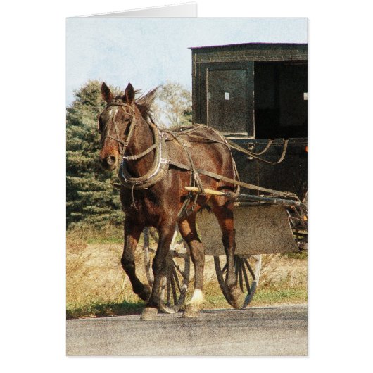 Amish Horse and Buggy All Occasions Cards (Front)