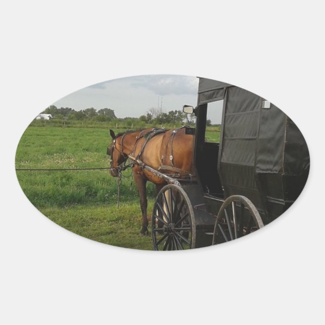 Amish Horse and Buggy at Sunset in Frytown Oval Sticker (Front)