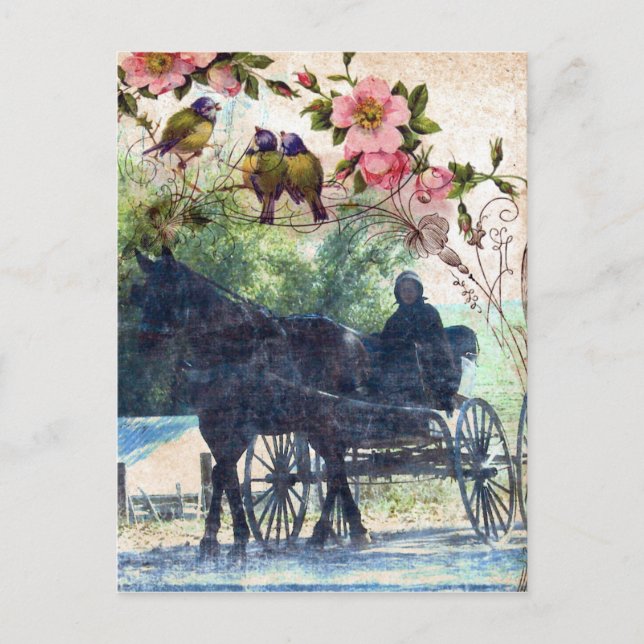 Amish Horse and Buggy Birdie Texture Postcard (Front)