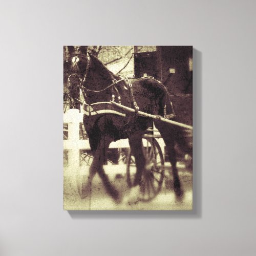 Amish Horse and Buggy Canvas Print