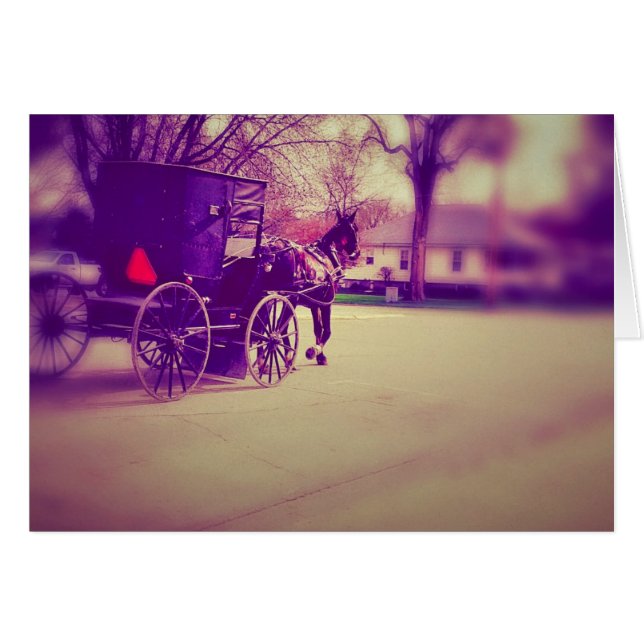 Amish Horse and Buggy Cards (Front Horizontal)