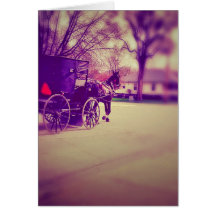 Amish Horse and Buggy