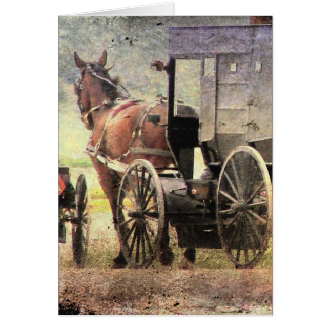 Amish Horse and Buggy Cards (Front)