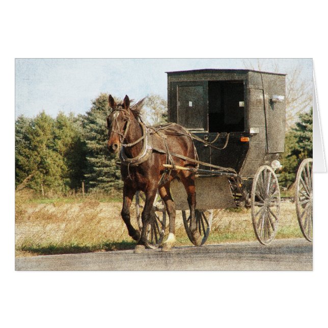 Amish Horse and Buggy Cards (Front Horizontal)