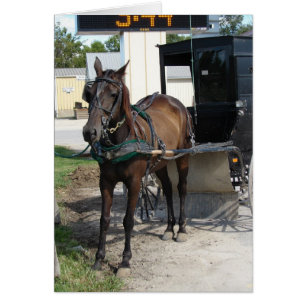 Amish horse and buggy Grocery Store Stop