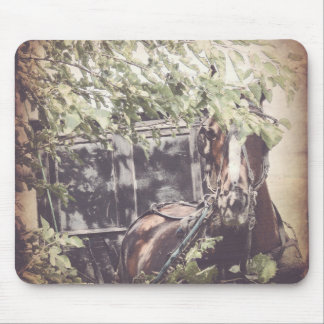 Amish Horse and Buggy in the Shade Mouse Pad