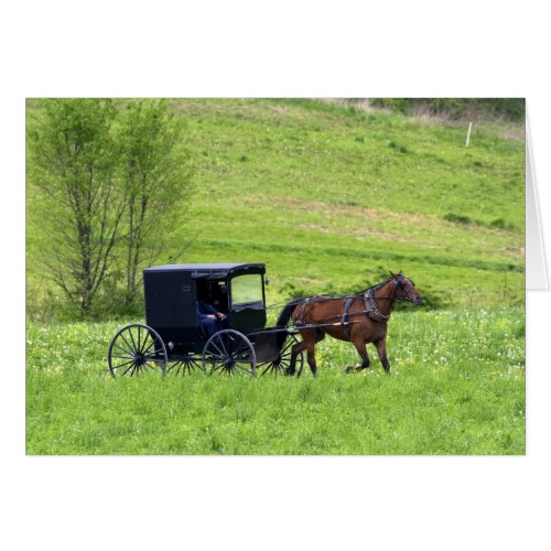 Amish horse and buggy near Berlin Ohio