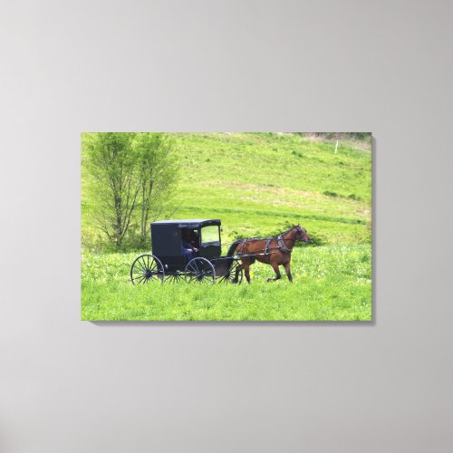 Amish horse and buggy near Berlin Ohio Canvas Print