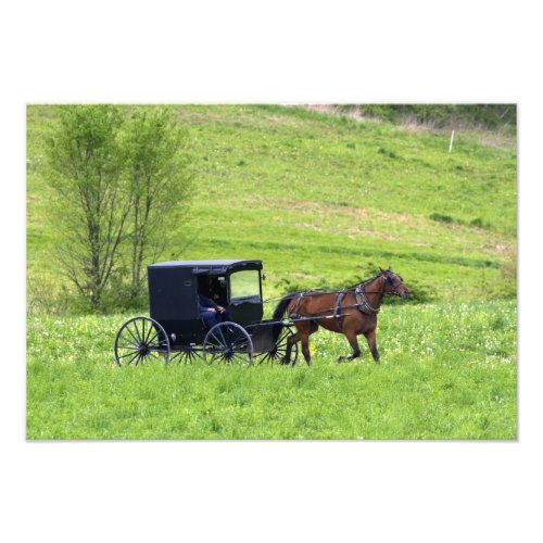 Amish horse and buggy near Berlin Ohio Photo Print