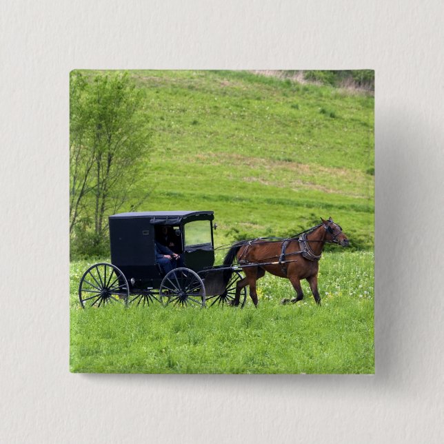 Amish horse and buggy near Berlin, Ohio. Pinback Button (Front)