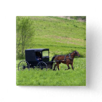 Amish horse and buggy near Berlin, Ohio. Pinback Button