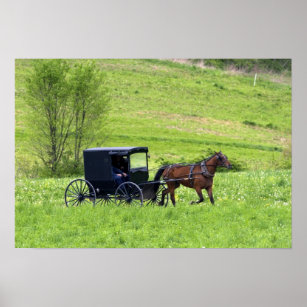 Amish horse and buggy near Berlin, Ohio. Poster