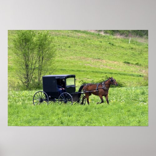 Amish horse and buggy near Berlin Ohio Poster