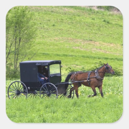 Amish horse and buggy near Berlin Ohio Square Sticker