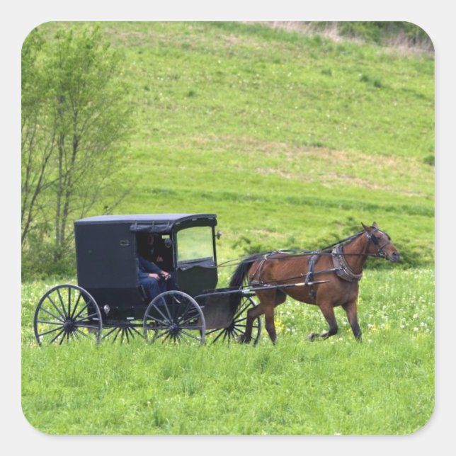 Amish horse and buggy near Berlin, Ohio. Square Sticker (Front)