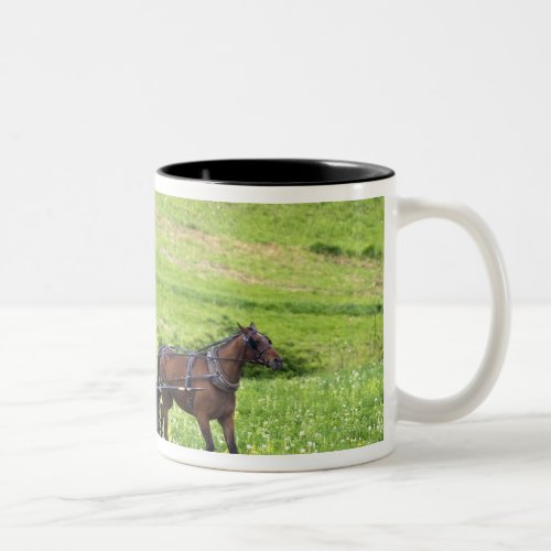 Amish horse and buggy near Berlin Ohio Two_Tone Coffee Mug