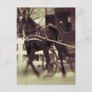 Amish Horse and Buggy Rural Iowa Photography Postcard