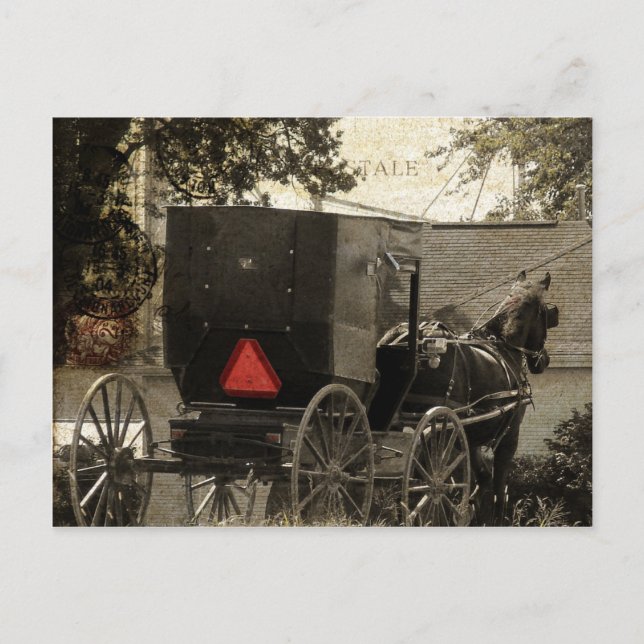 Amish Horse and Buggy Sepia Postcard Digital Art (Front)