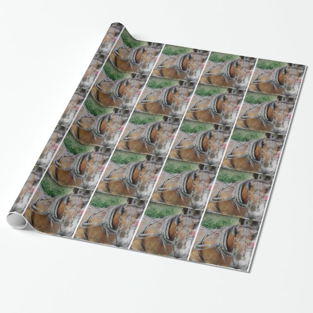 Amish Horse and Buggy Wrapping Paper (Unrolled)