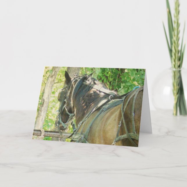Amish Horse at Hitching Post All Occasions  Card (Front)