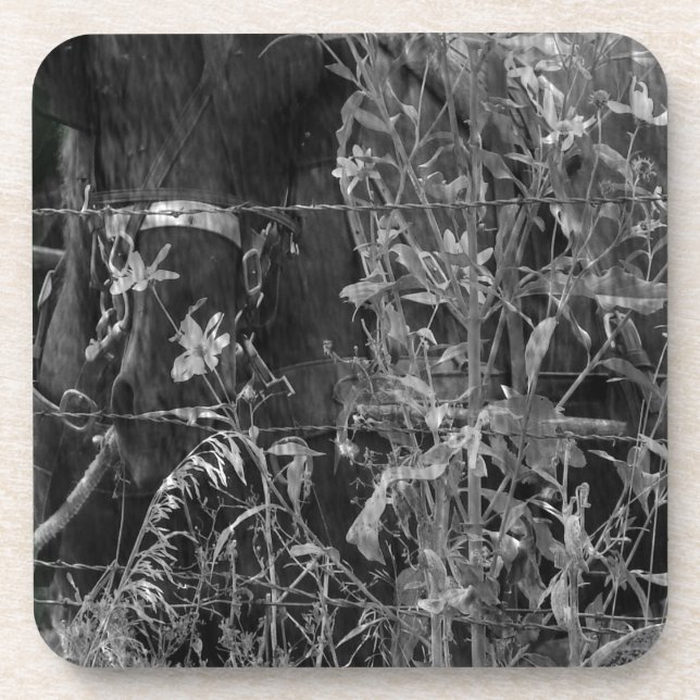 Amish Horse Black and White Grunge Beverage Coaster (Front)
