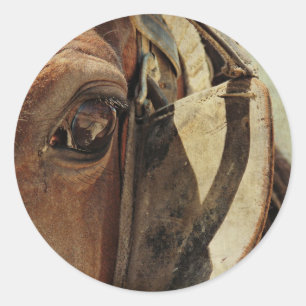 Amish Horse Eye Classic Round Sticker