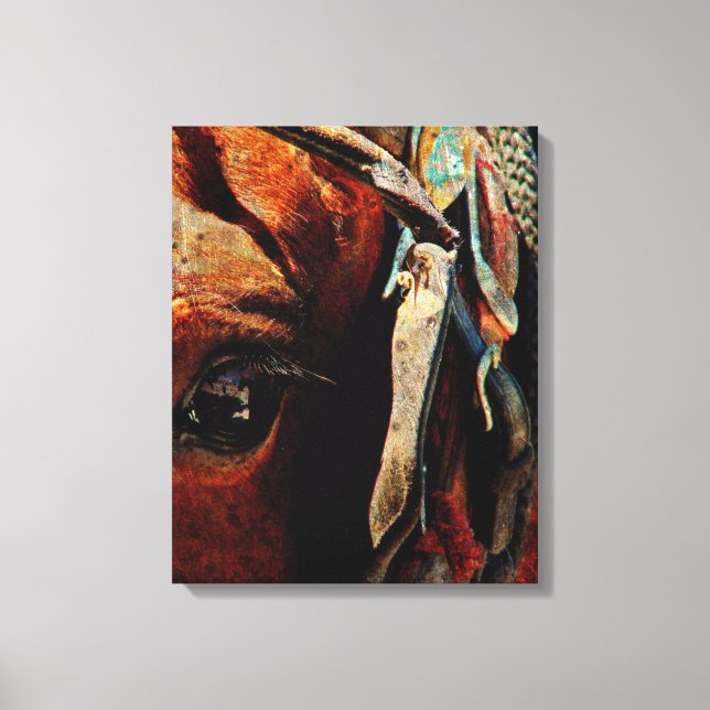 Amish Horse Grunge Canvas Print (Front)