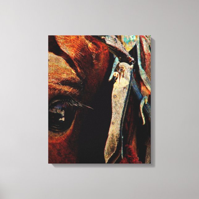Amish Horse Grunge Canvas Print (Front)