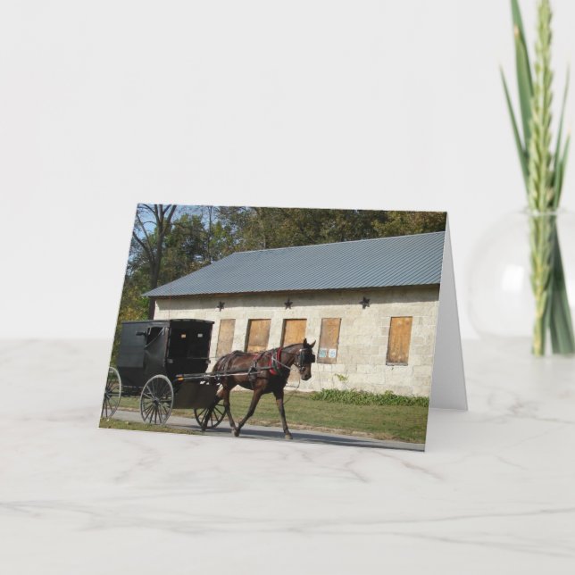 Amish Horse in Bentonsport, Iowa All Occasions  Card (Front)