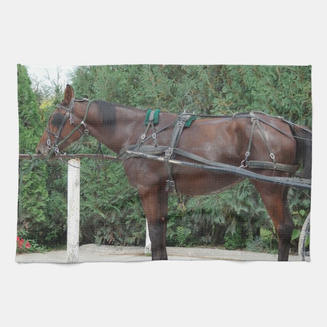 Amish Horse Kitchen Towel (Horizontal)