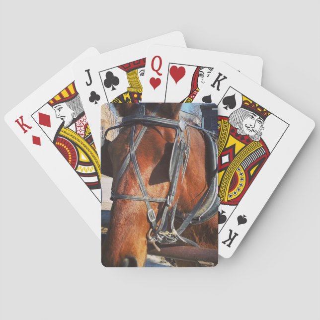 Amish Horse Poker Cards (Back)