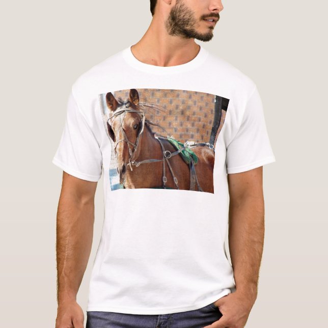 Amish Horse T-Shirt (Front)