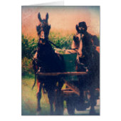 Amish Horse Team (Front)