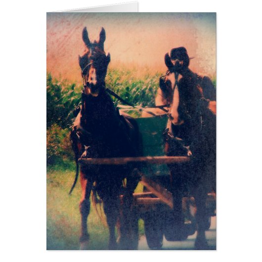Amish Horse Team Cards (Front)