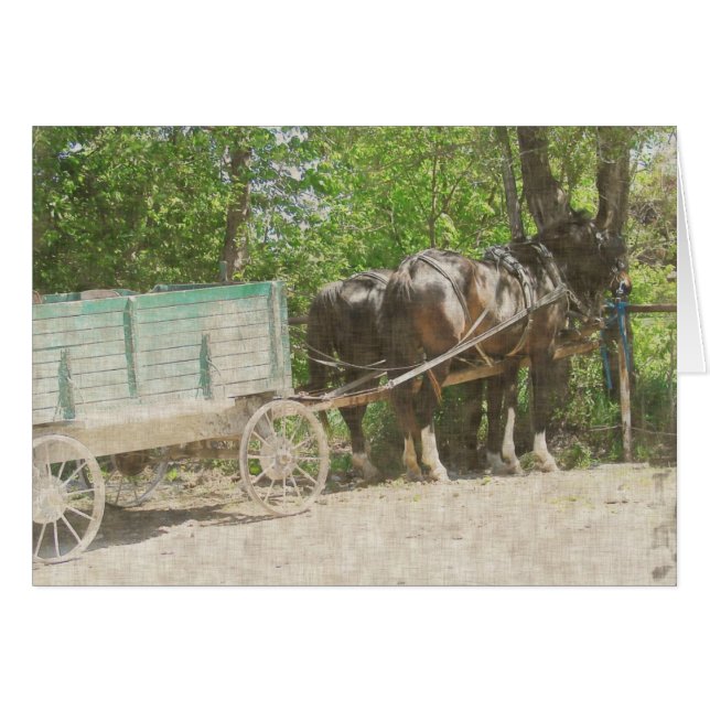 Amish Horses and Wagon Cards (Front Horizontal)