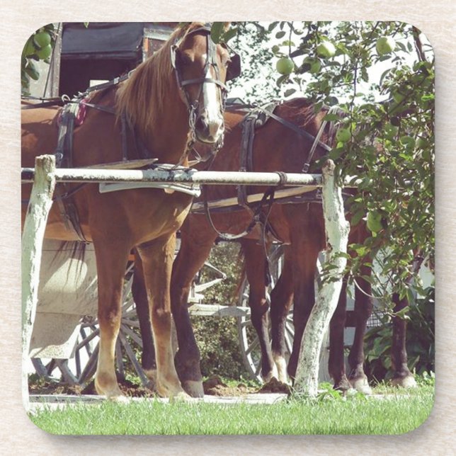 Amish Horses at the Hitching Post Around Apples Drink Coaster (Front)