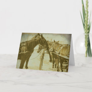 Amish Horses, Birthday Card