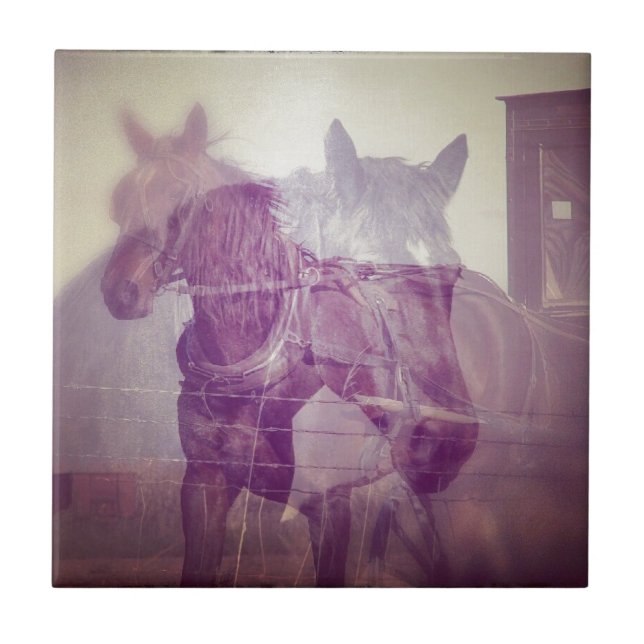 Amish horses digital collage tile (Front)