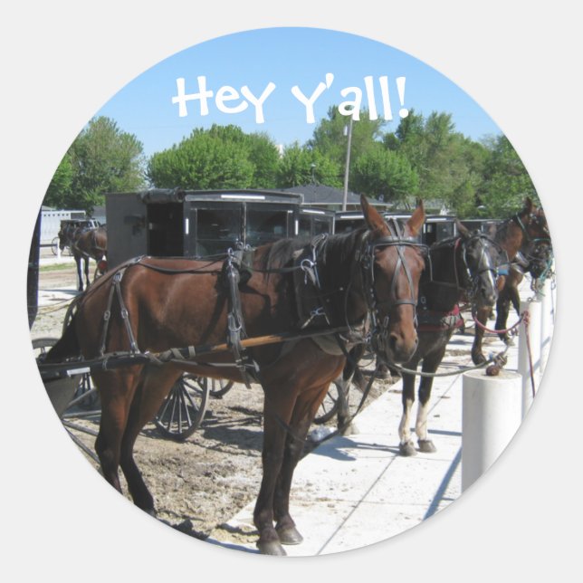 Amish Horses Say Hi! Classic Round Sticker (Front)