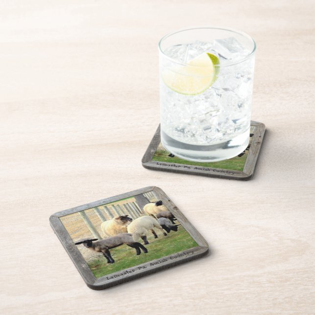 Amish Lambs and Sheep! 6 Beverage Coaster (Right Side)