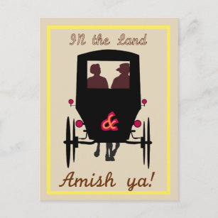 Amish Land Postcard