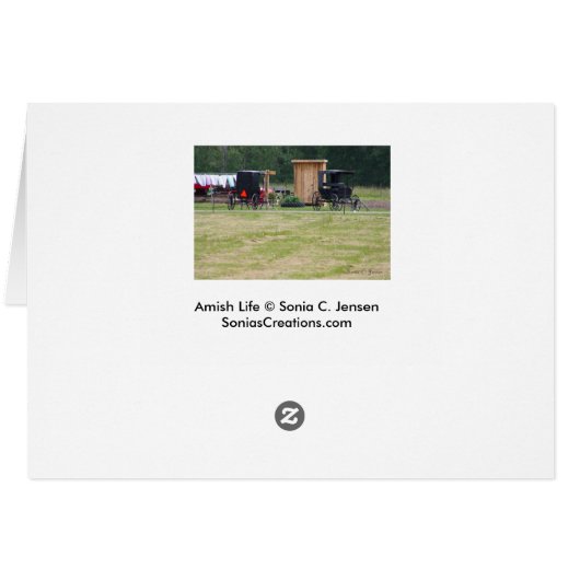 Amish Life (Back Horizontal)
