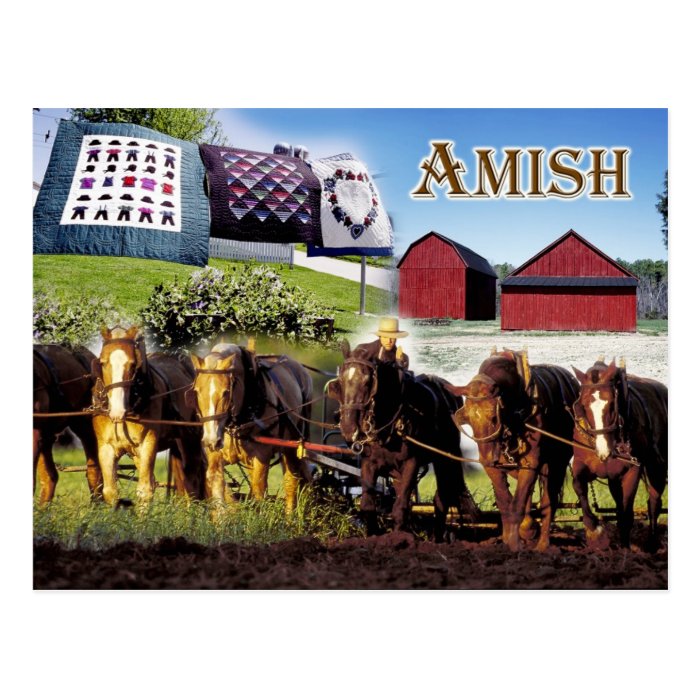 Amish Life in Lancaster, Pennsylvania Post Card