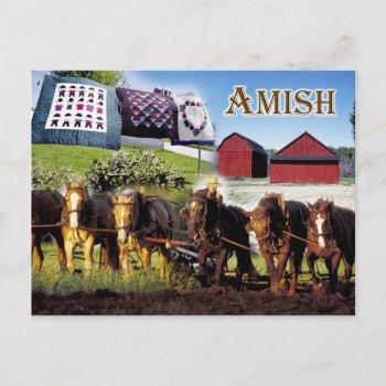 Amish Life In Lancaster  Pennsylvania Postcard by HTMimages at Zazzle